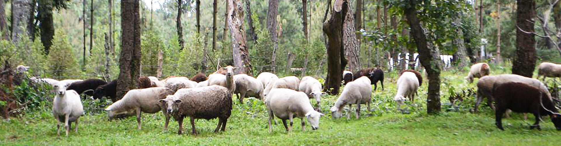 Rancho el Paraíso